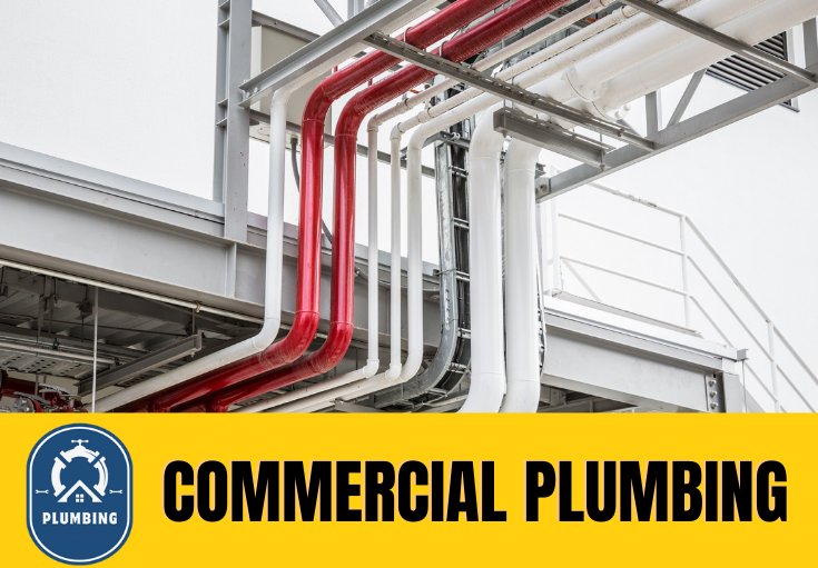 commercial plumbing Aylesford