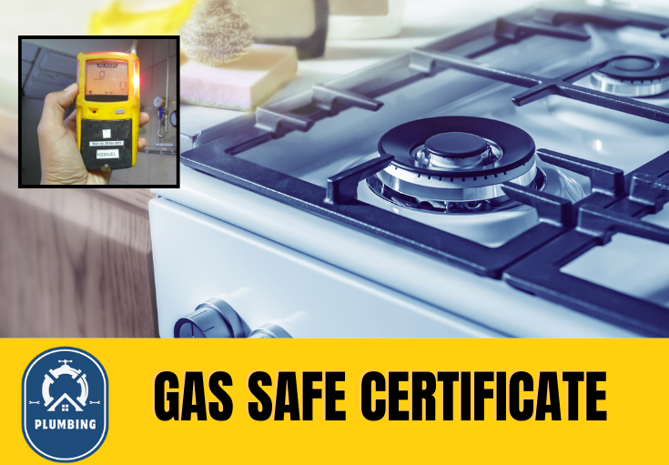 gas safe certificate Aylesford